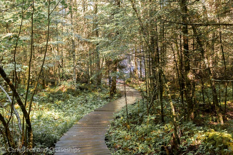 falcon creek self guiding trail in falcon lake