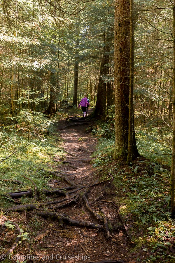 falcon creek self guiding trail in falcon lake whiteshell provincial park