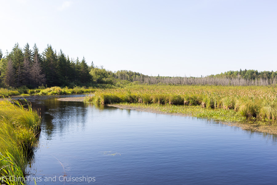 pond in falcon lake manitoba