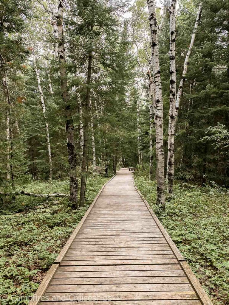 brokenhead wetland interpretive trail in manitoba